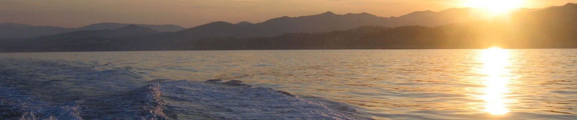 Escursioni e trasporti turistici via mare | Avvistamento cetacei | Giro del Porto di Genova