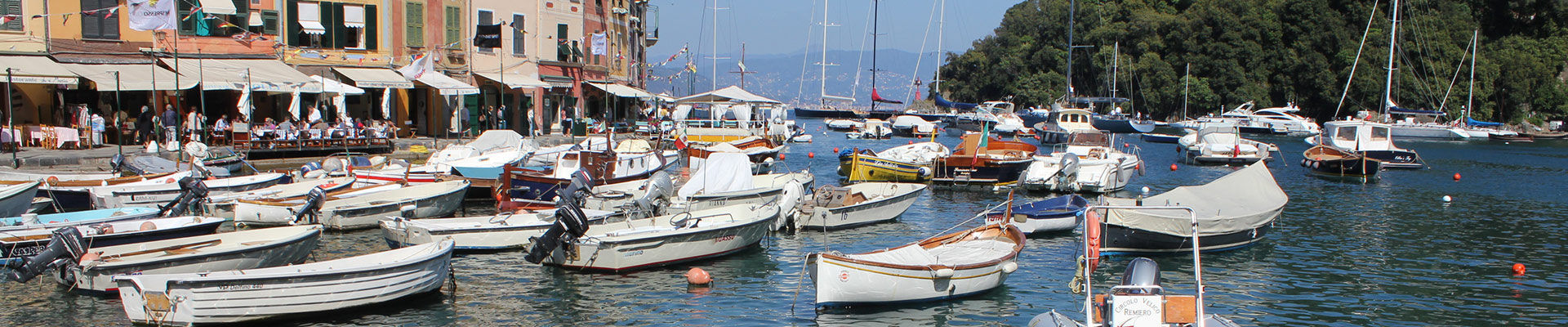 Escursioni e trasporti turistici via mare | Avvistamento cetacei | Giro del Porto di Genova